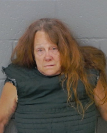 Mugshot of MELISSA MARIE KING