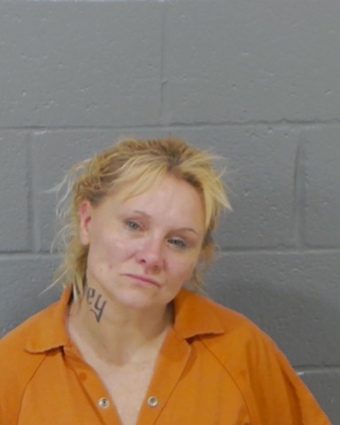 Mugshot of TARA LEDBETTER HOWELL