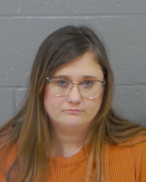 Mugshot of BRITTANY HAZELWOOD ELKIN