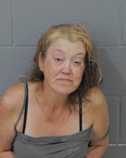 Mugshot of AMY JANE SHAVER