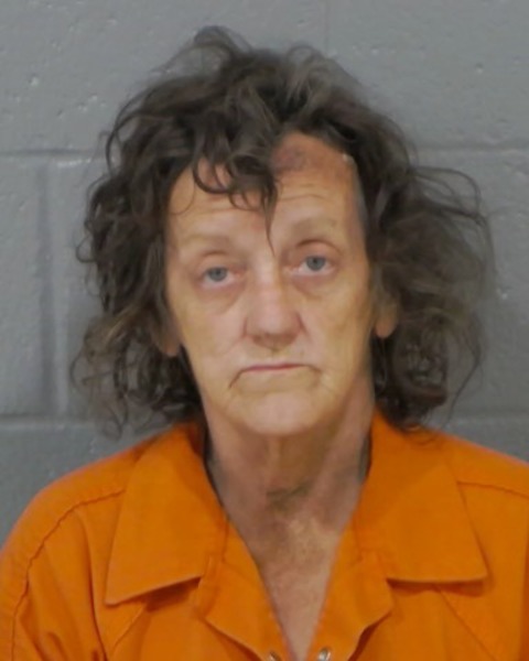 Mugshot of HEIDI LYNN WISE