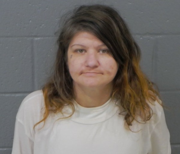 Mugshot of BRANDY NICOLE CHILDERS