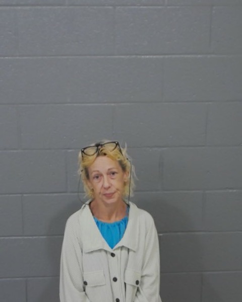 Mugshot of AMY CATHERINE CUNNINGHAM