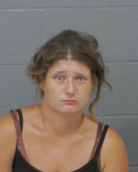 Mugshot of ANN MARIE SULLIVAN