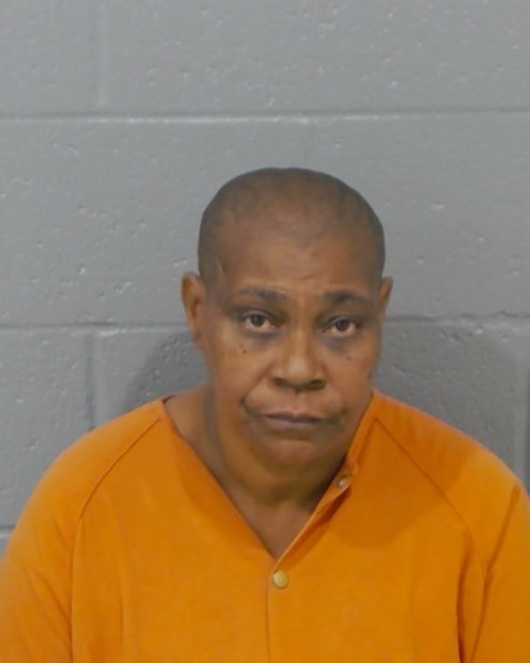Mugshot of YVETTE DENISE LEE