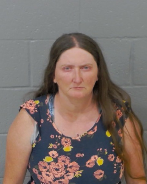 Mugshot of LAURA ANN WOODS