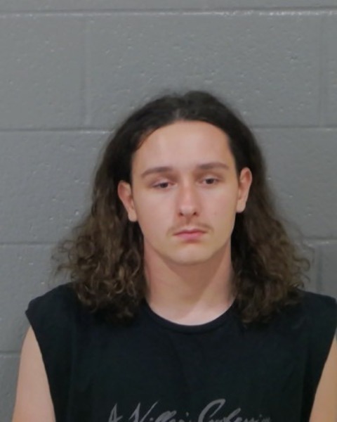 Mugshot of CAMERON RYAN RHODES