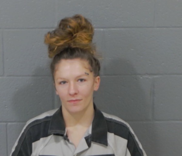 Mugshot of BRIANA NICOLE HOY