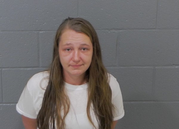 Mugshot of BRITTANY ANNE COLEY
