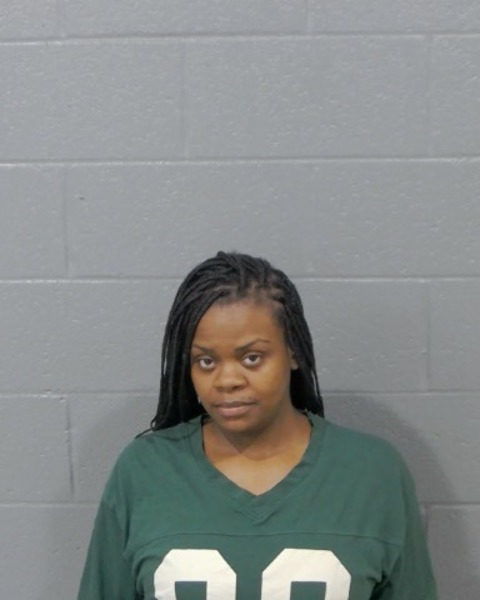 Mugshot of KIMBERLY ROCHELLE SHANKLE