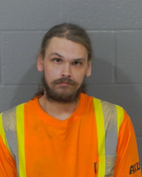 Mugshot of AJ STEVENSON