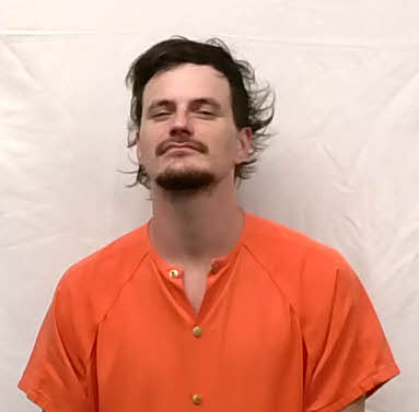 Mugshot of Mason Lee Williamson
