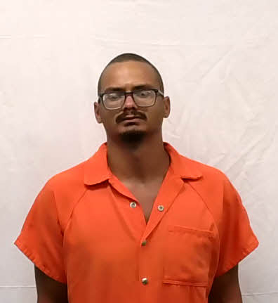 Mugshot of Cameron Davis White