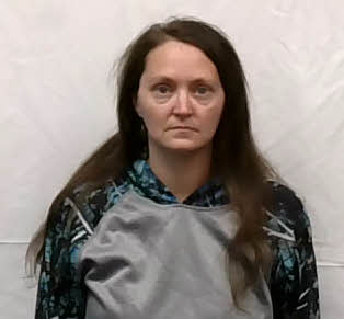 Mugshot of Brittany Ann Carter