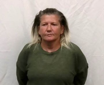 Mugshot of Michelle Webster Vanderburg