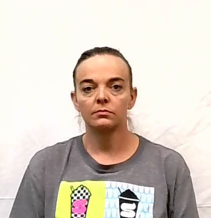 Mugshot of Jenny Lee McBride