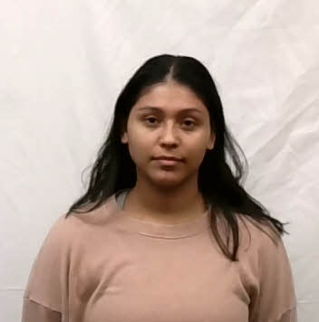 Mugshot of Aida Janeth Villatoro