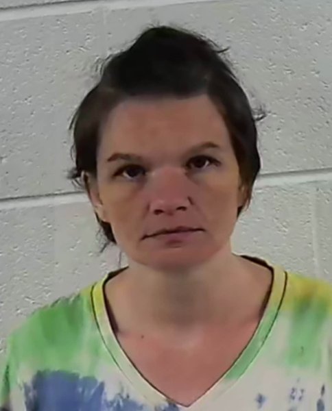 Mugshot of ASHLEY ANN HARBISON
