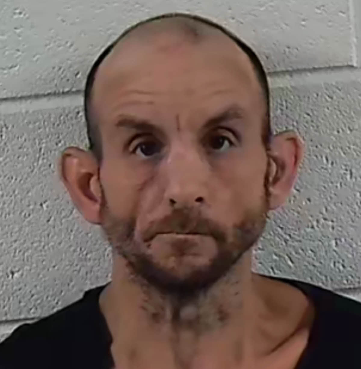 Mugshot of SANDY WILLIAM MCBRIDE