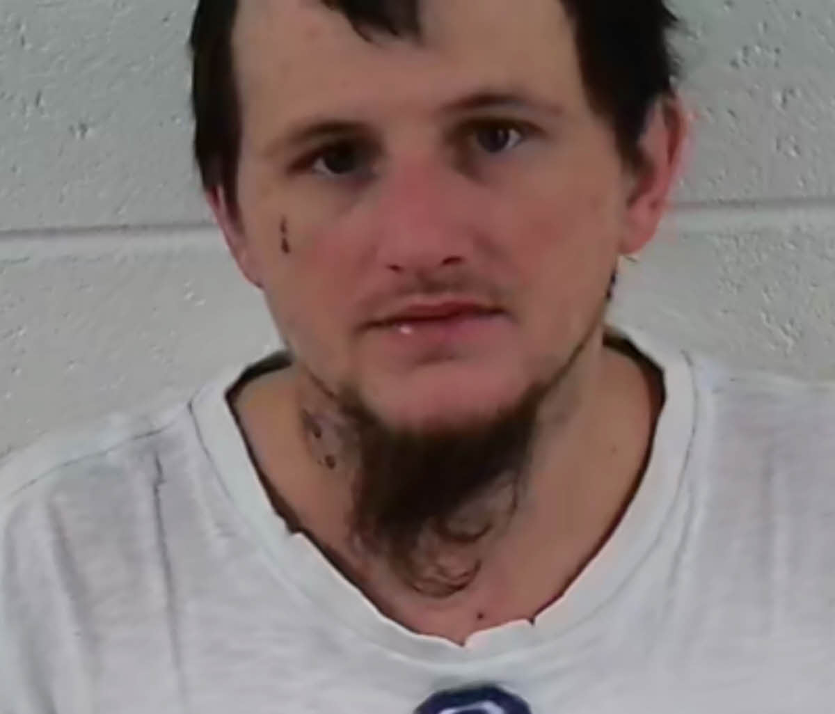 Mugshot of BRANDON WAYNE WADDELL