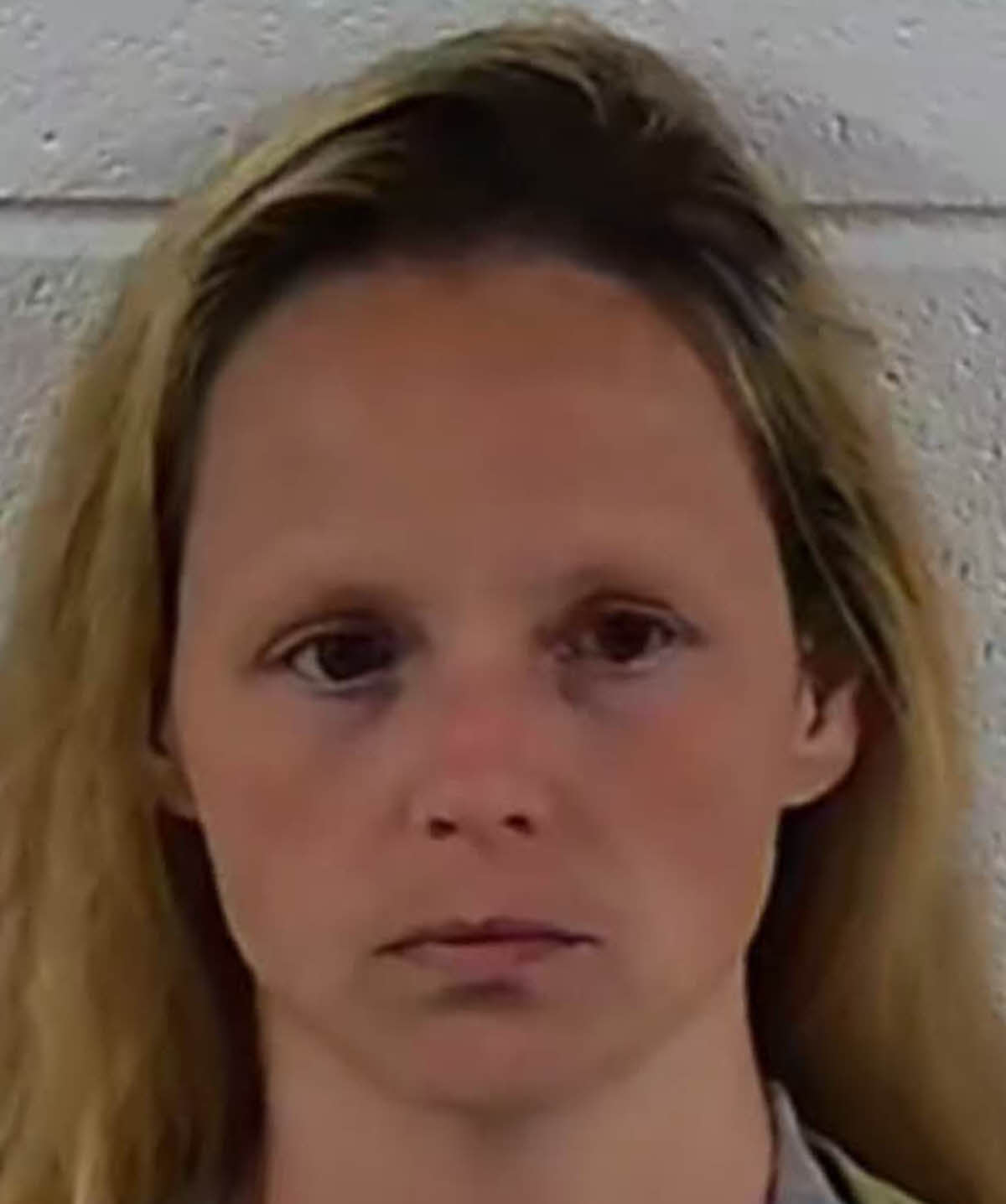 Mugshot of GERRI RILLA HATCHER
