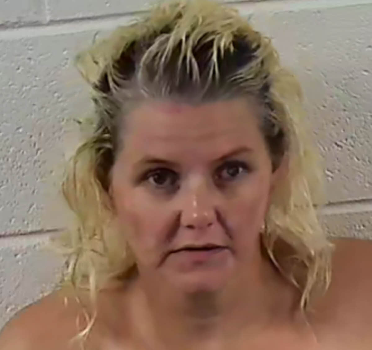 Mugshot of LISA MICHELLE SELVEY