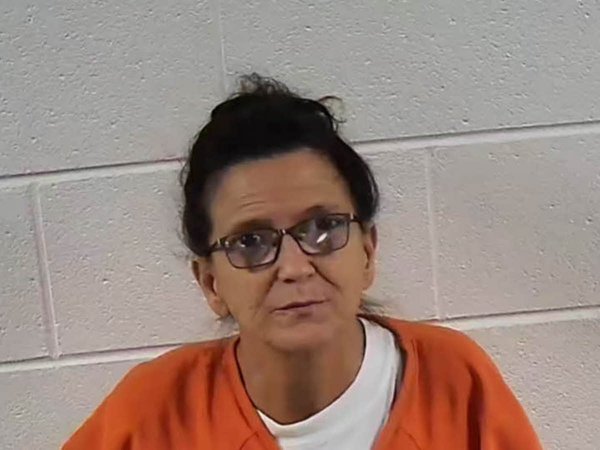 Mugshot of SUSAN HOPE DAVIS