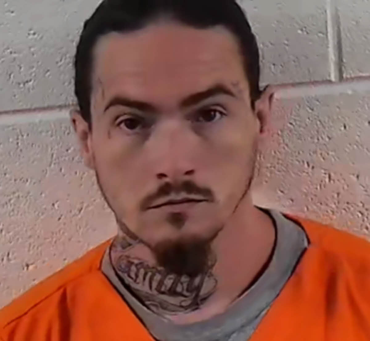 Mugshot of LINDSAY DOYLE BARR