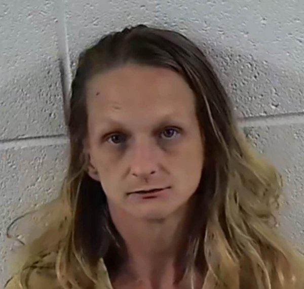 Mugshot of ASHLEE NICOLE BURNS