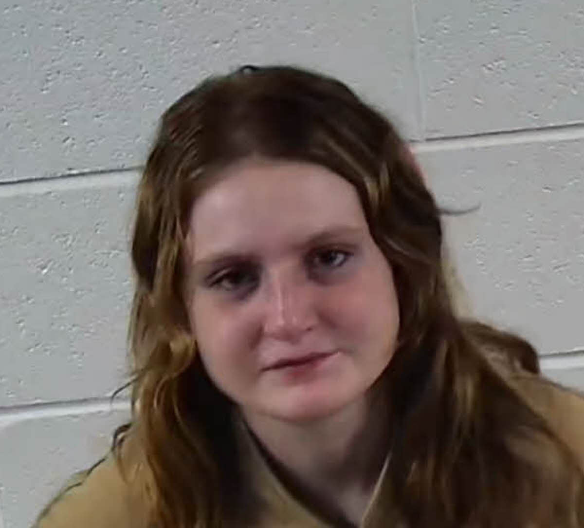Mugshot of KYLIE GRACE WILSON