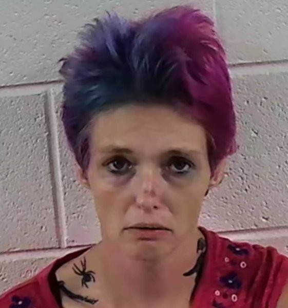 Mugshot of RHONDA MARIE MEEKS