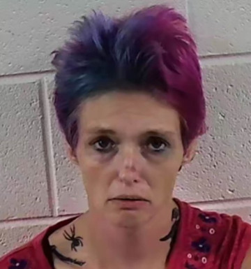 Mugshot of RHONDA MARIE MEEKS