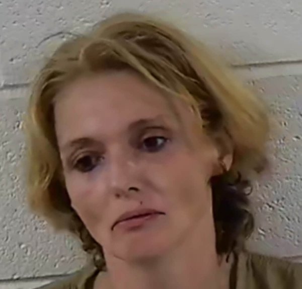 Mugshot of RHONDA MARIE MEEKS