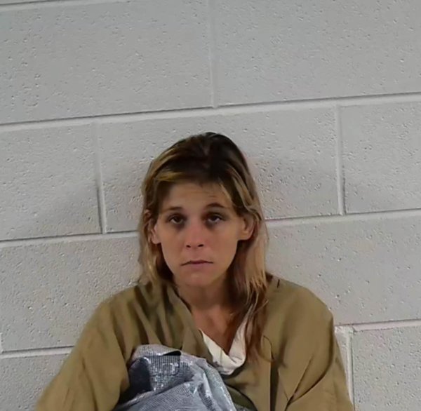Mugshot of TIFFANY LYNN WILMOUTH