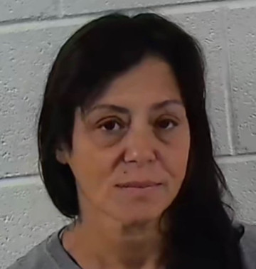 Mugshot of ROBERTA LYNN JOHNSON