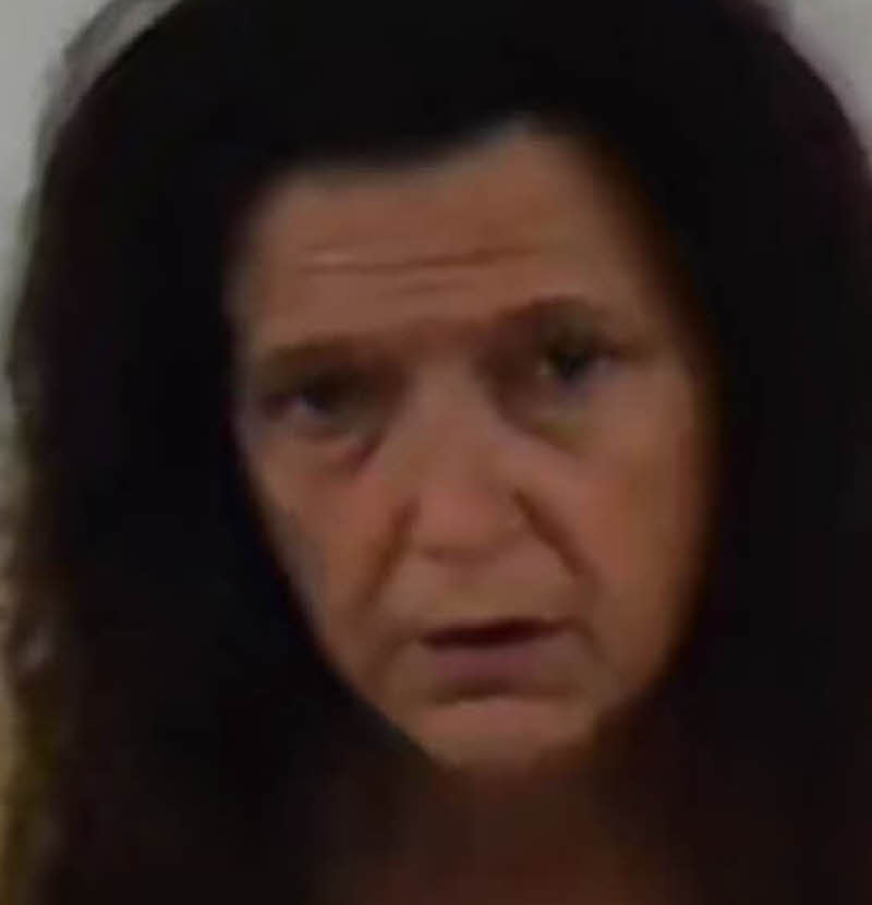 Mugshot of SUSAN HOPE DAVIS