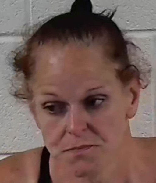 Mugshot of BRANDI LEIGH DODSON