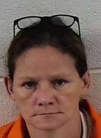 Mugshot of ANITA WYNETTE DUNN