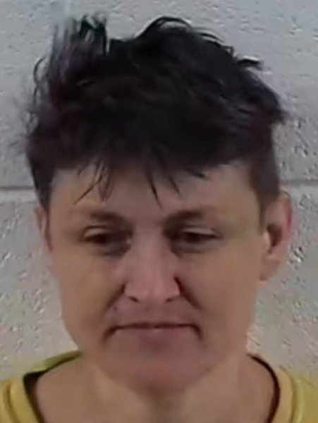 Mugshot of JAN ERAN COLLINS