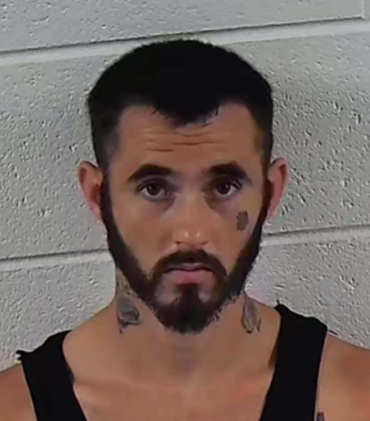 Mugshot of ANDREW CHASE TOLLEY