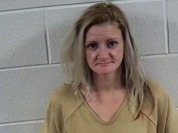 Mugshot of ROSANNA LYNN COINS