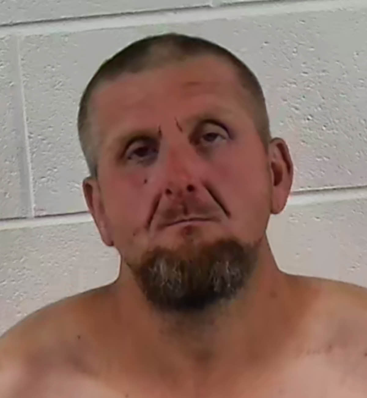 Mugshot of RYAN GREY HARDY
