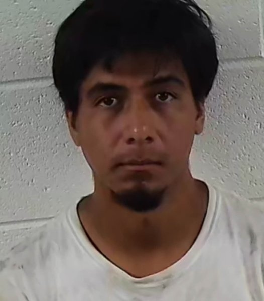 Mugshot of ALEXIZ MICHE ALVAREZ-GARCIA