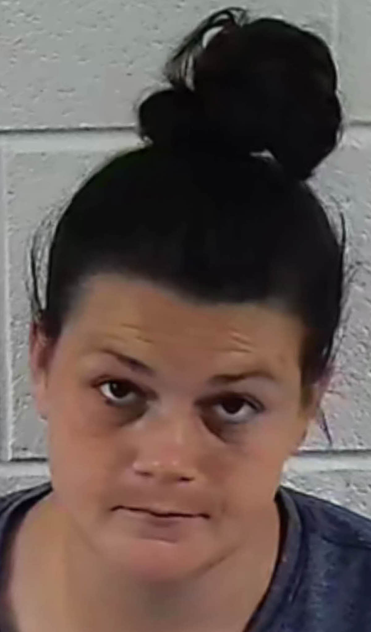 Mugshot of NIKKI DARE SLOOP