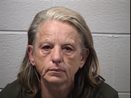 Mugshot of Donna Lynn Owens