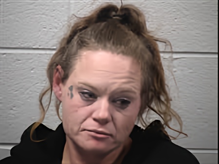 Mugshot of Ashley Nicole Butler