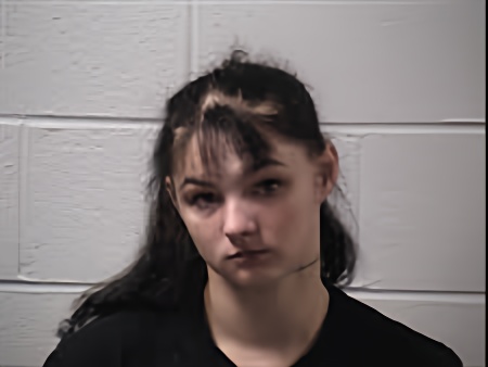 Mugshot of Allison Nichole Gravley