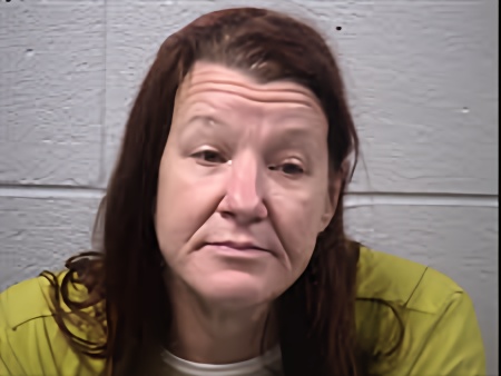 Mugshot of Angela Louise Sheehan