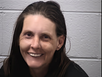 Mugshot of Ashley Brook Raines