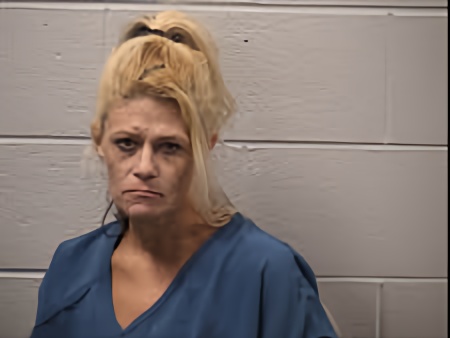 Mugshot of Lesli Ann Wilbur